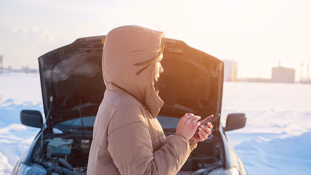 Timing belt change, car repair, vehicle maintenance, engine health